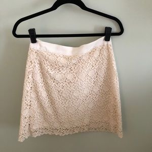 Ann Taylor loft skirt